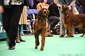 Crufts2011 917